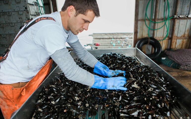 mussel worker