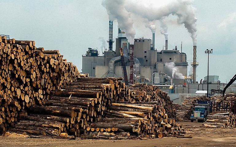 Photo of mill in Jay, Maine, showing logs and smokestacks