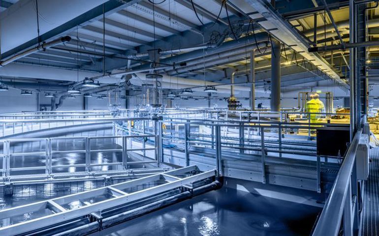 Nordic Aquafarms Application Soon To Enter Hyperdrive In Belfast Review Mainebiz Biz