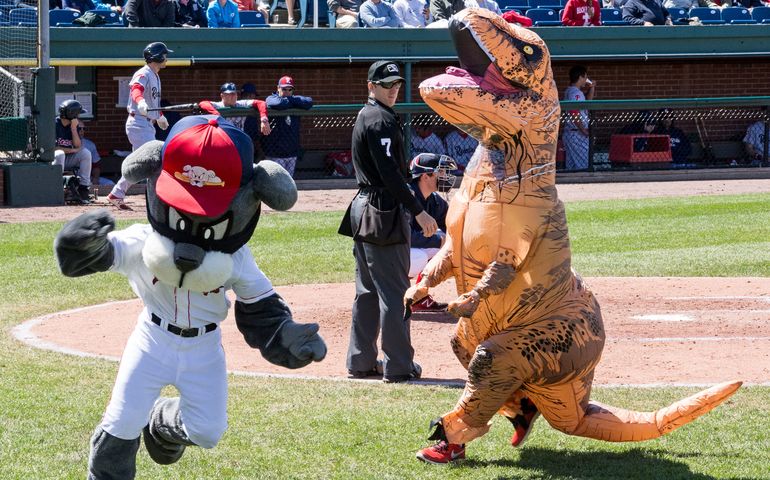Portland Sea Dogs mascot slugger on the baseball field with a T-Rex 