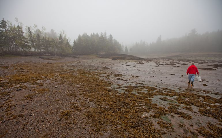 A loan man walking on a foggy rocky beach