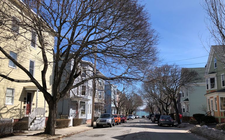 A treet on Munjoy Hill in Portland with triple decker apartment buildings and a glimpse of the ocean down at the end