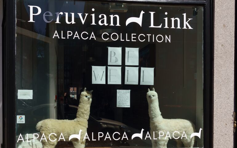 Closed retail store front in Portland showing stuffed alpacas and a "Be Well" sign in the window.