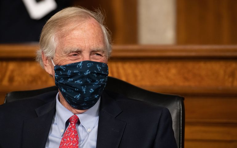 Angus king with a lobster-motif face covering