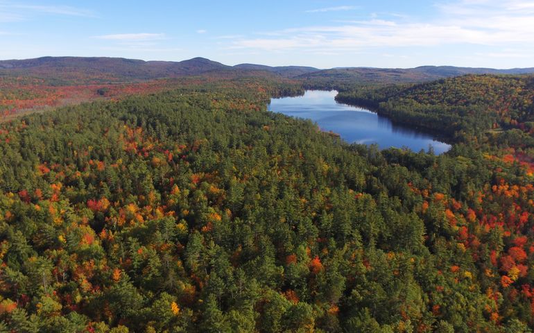 an aerial view of a vast forest with a lake in the middle