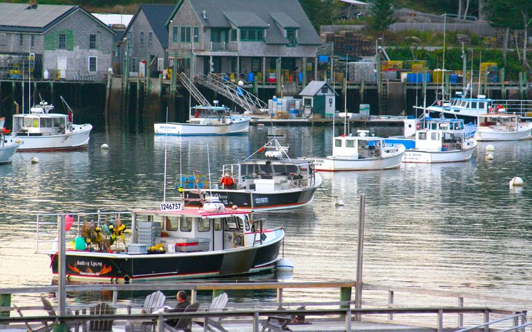 lobster boats moored in anchorage