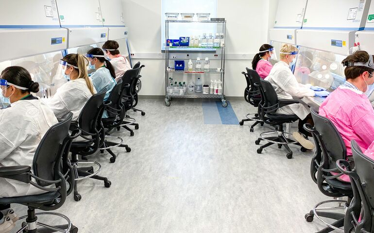lab technicians at work in two rows of workstations