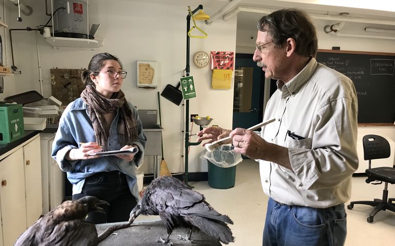 teacher and college student examining bird exhibit