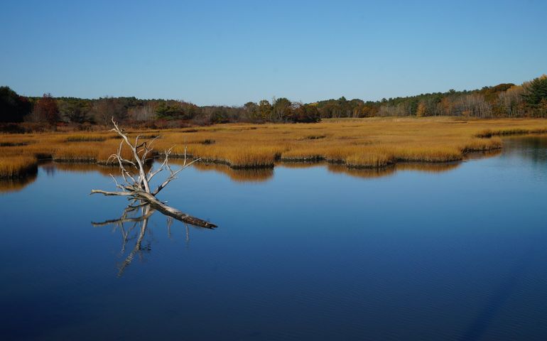 a very still river with a dead piece of tree sticking out and brown fields and trees with gold and orange foliage in the background