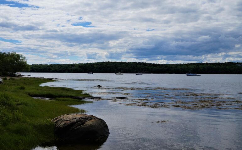 some marsh grass and a large rock with a backrop of water and distant moored boats and pine trees on the opposite shore