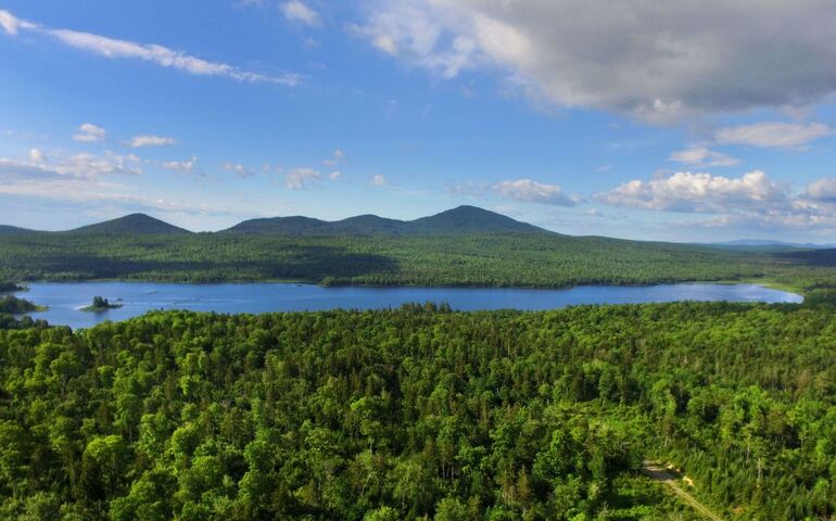 aerial view of forestland, lake and mountain on the horizon