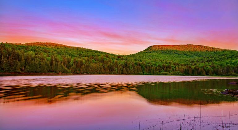 A pond surrounding by pine trees glowing pink and purple in a sunset