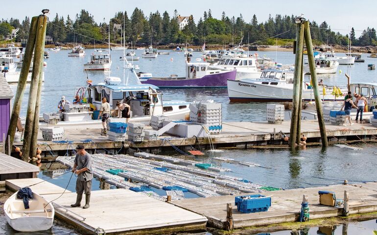 docks and moorings with lobster boats and several workers