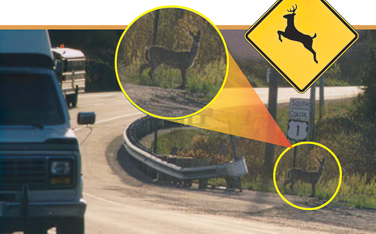 Iowa Department of Transportation on deer crossing signs