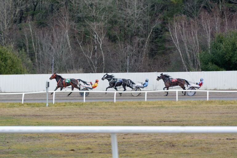 Three racers and trotters in a row 