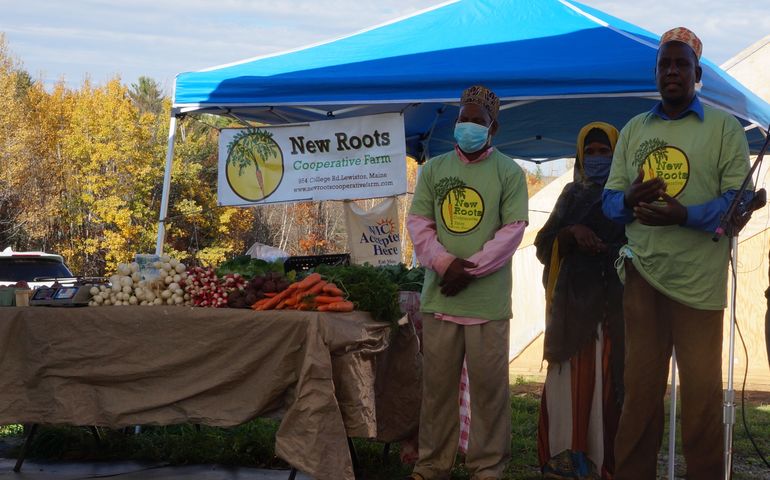 Two Black men and a woman in a hijab stand next to a table piled with produce under a sign that says new roots farm one of the men is talking.