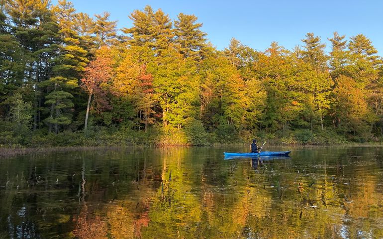A lone person in a canoe on a body of water with trees that have fall foliage colors lining the banks. The trees are reflected in the water