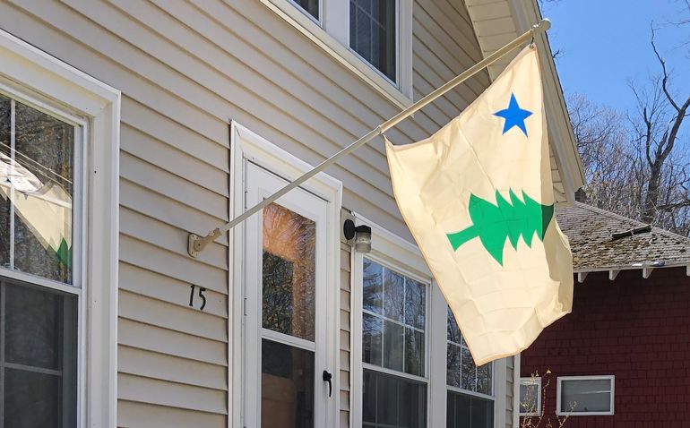 a beige flag with a green pine tree and blue star flies from a house