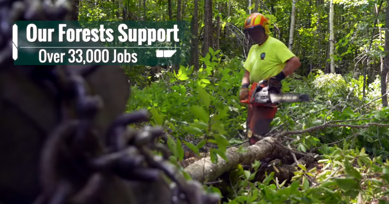 A man in a hardhat with a chainsaw saws a log in a forest while words on the screen say our forests support over 33,000 jobs