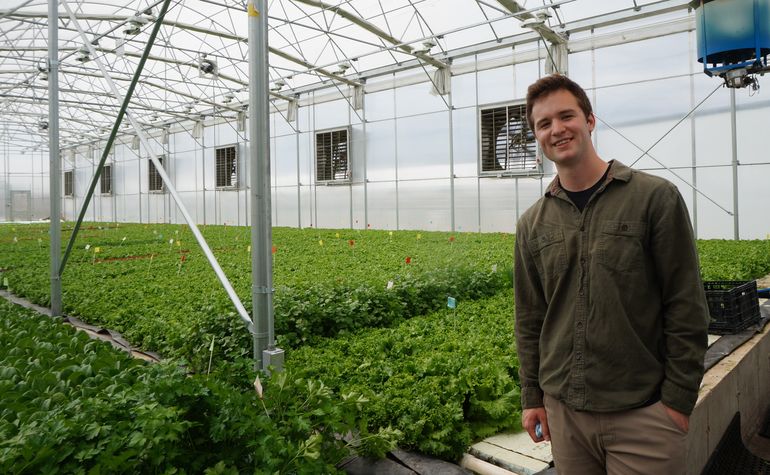 A young man, white, stands in a large greenhouse as lush lettuce grows behind him in rows
