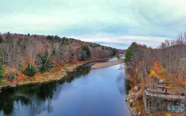 A river going through a forest