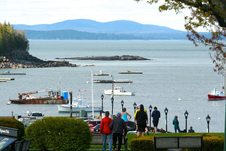 harbor and people
