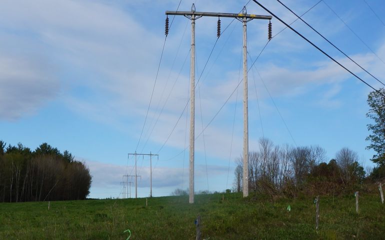 A line of large wooden power line posts with lines attached going up a hill in a farm field with pine trees on the side