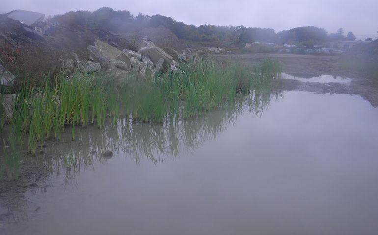 waterway