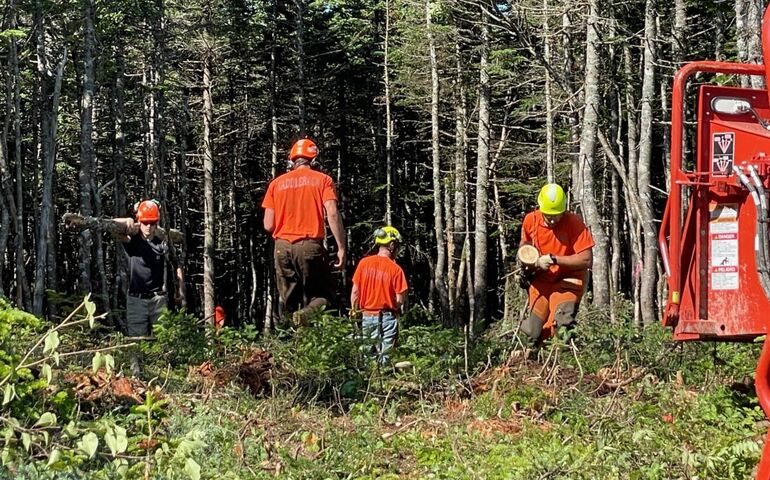 people in woods