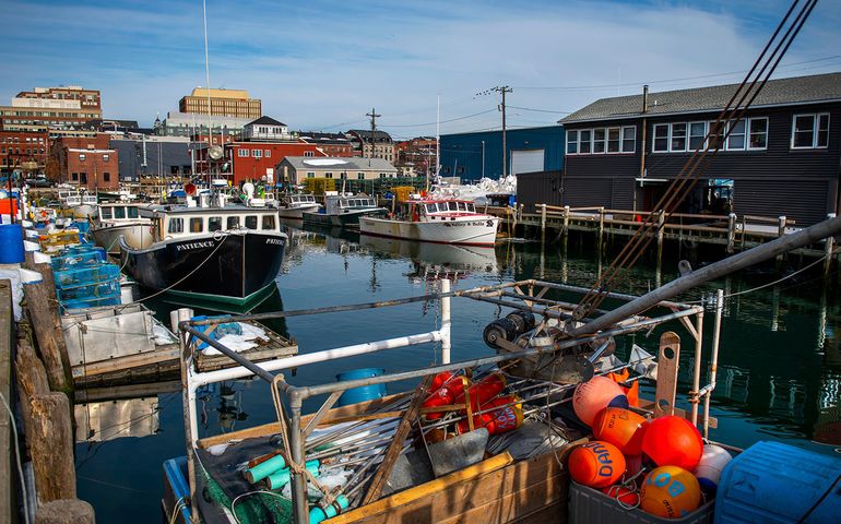 boats in harbor