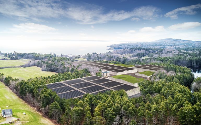 rendering of buildings in fields and woods