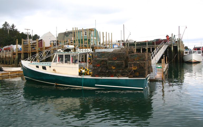 boat, traps and dock