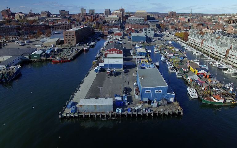 wharfs and boats and buildings