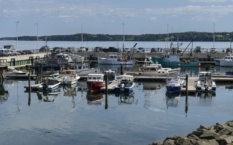 Eastport port showing boats and water 