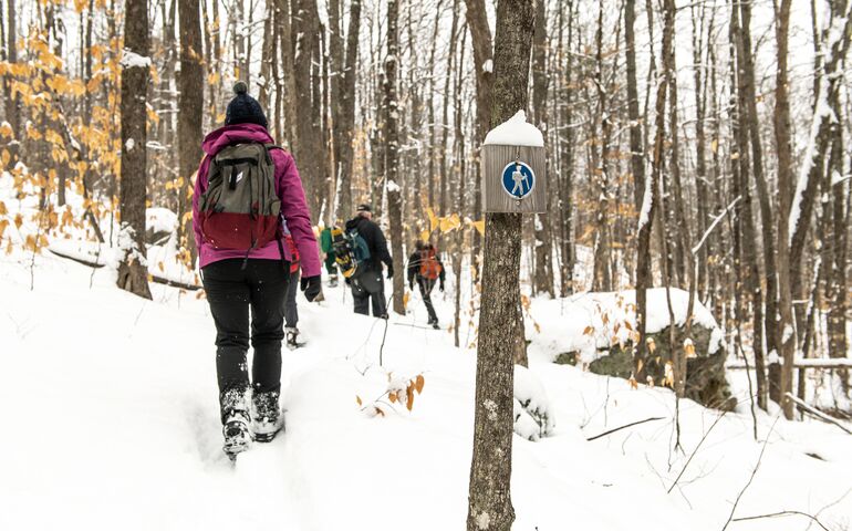 people hiking in snow