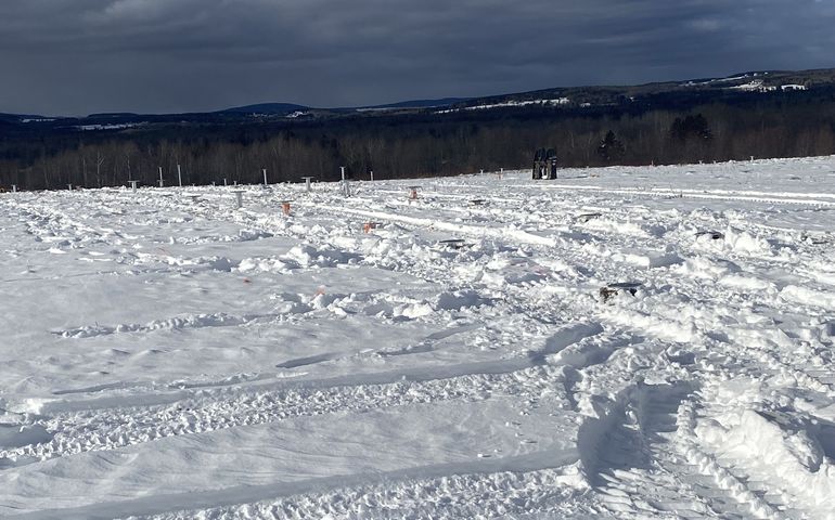 field covered with snow