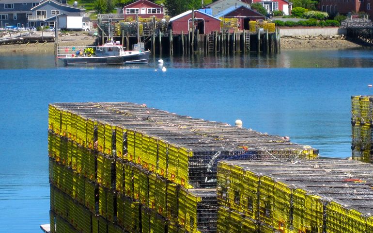 traps, pier, boats and harbor