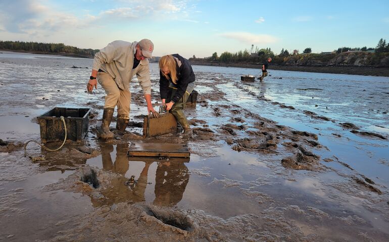 2 people on mudflat