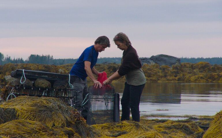 2 people with seaweed