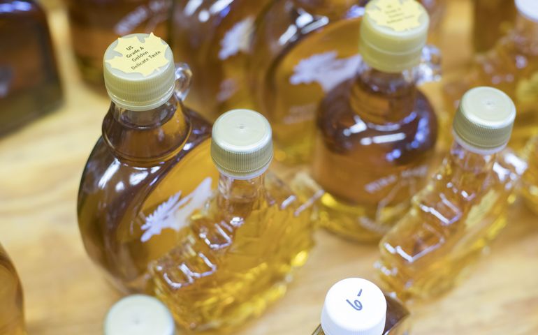 maple syrup in glass bottles 