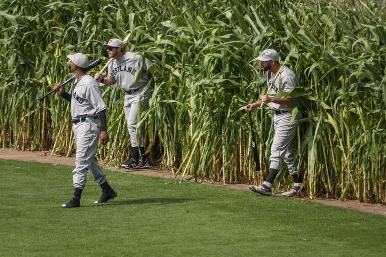 baseball players emerging from tall corn stalks 