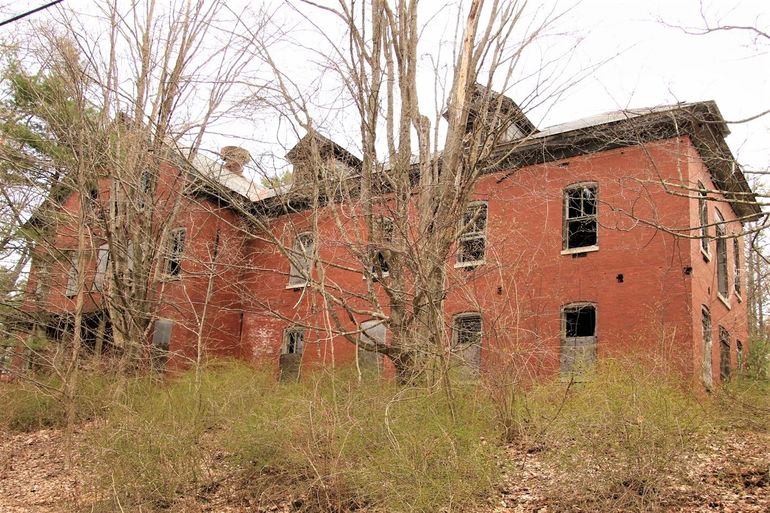 dilapidated brick building, overgrown by trees and brush