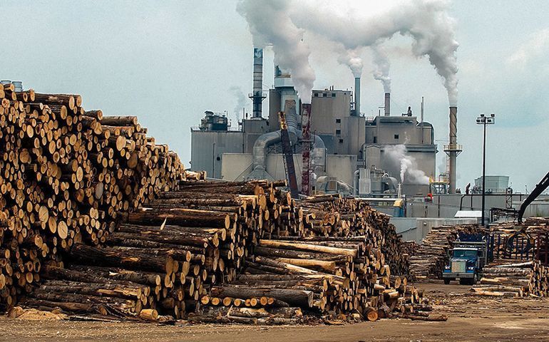 paper mill with logs in foreground