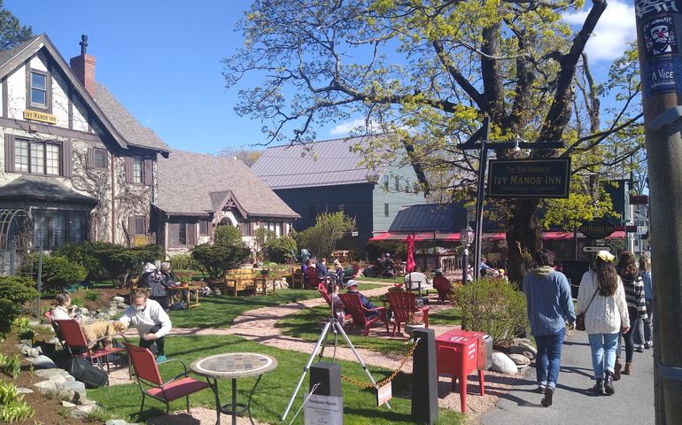 people on lawn