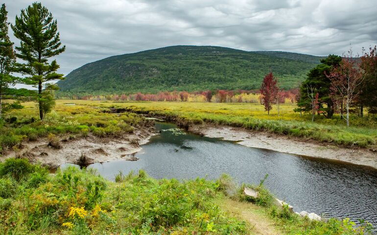 wetland and mountain