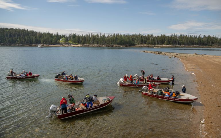 people in six boats