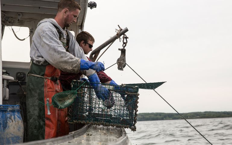 2 people on boat with lobster trap