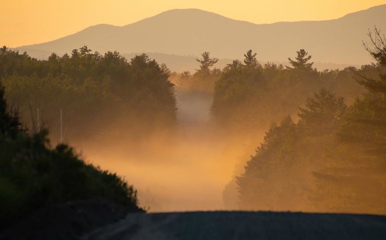 foggy woods and orange atmosphere