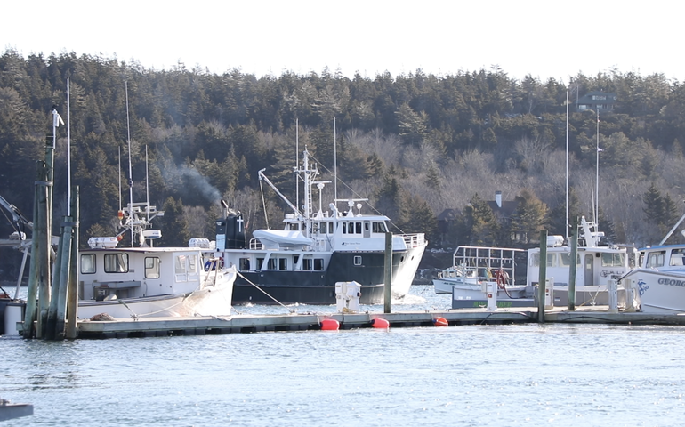 boats and water