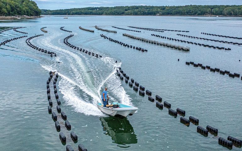 motorboat and lines of buoys on water